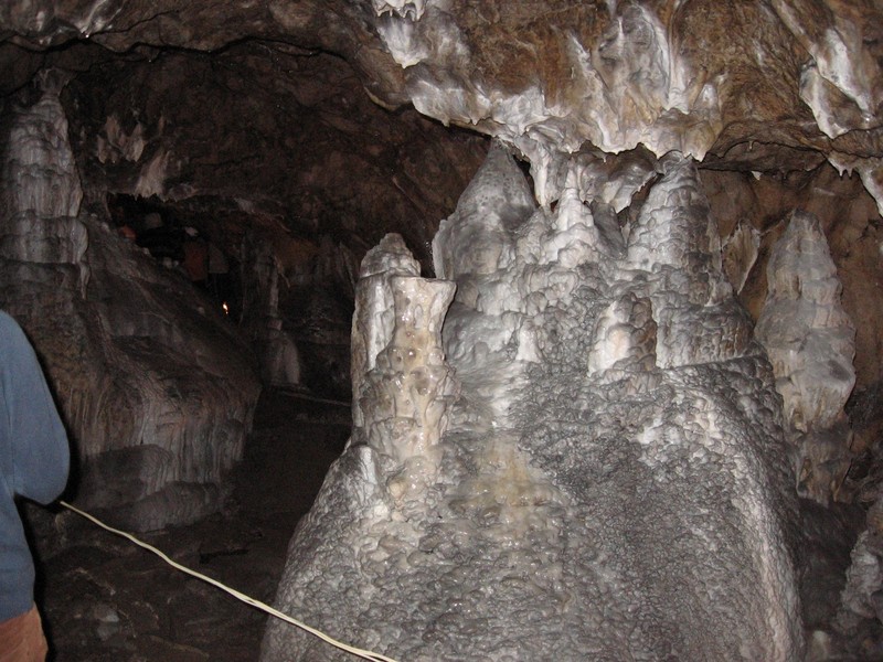 Arhiva foto