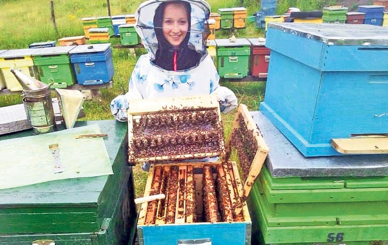 Mierea românească are LIPICI LA STRĂINI. Producția a fost scăzută de secetă