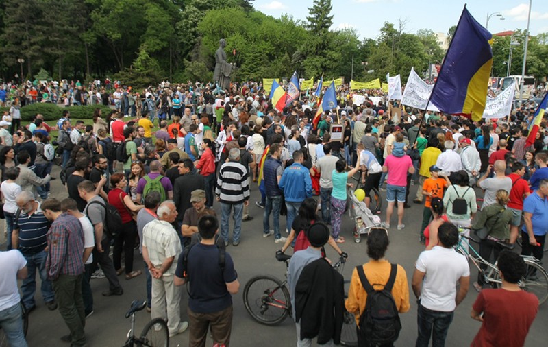 Mii de oameni au manifestat împotriva despăduririi