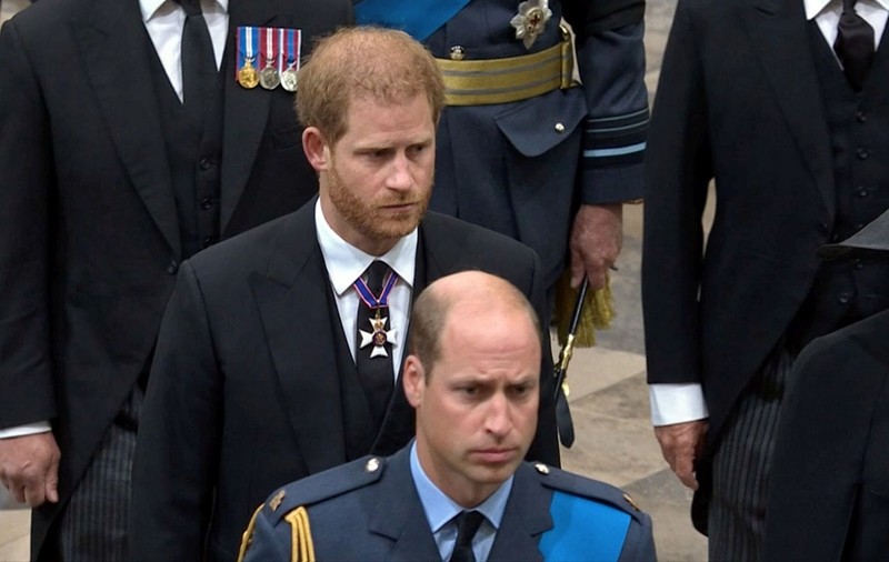 Harry spune în documentarul Netflix că prințul William a țipat la el, la discuțiile despre plecarea din Marea Britanie: „A fost înfricoșător să-l văd așa”