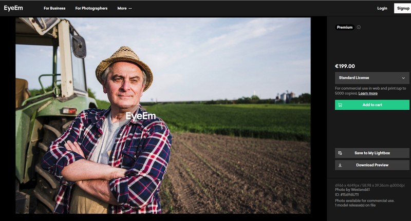 Imaginea originală, cumpărată de la o agenție foto