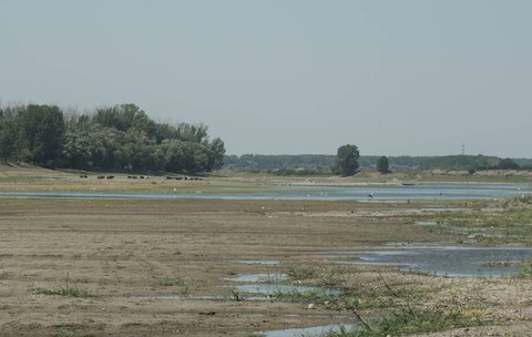 Niveluri scăzute ale apei pe fluviul Dunăre la Coslogeni, județul Călărași, România, pe 15 august 2026. Poză cu caracter ilustrativ. Foto: Getty Images