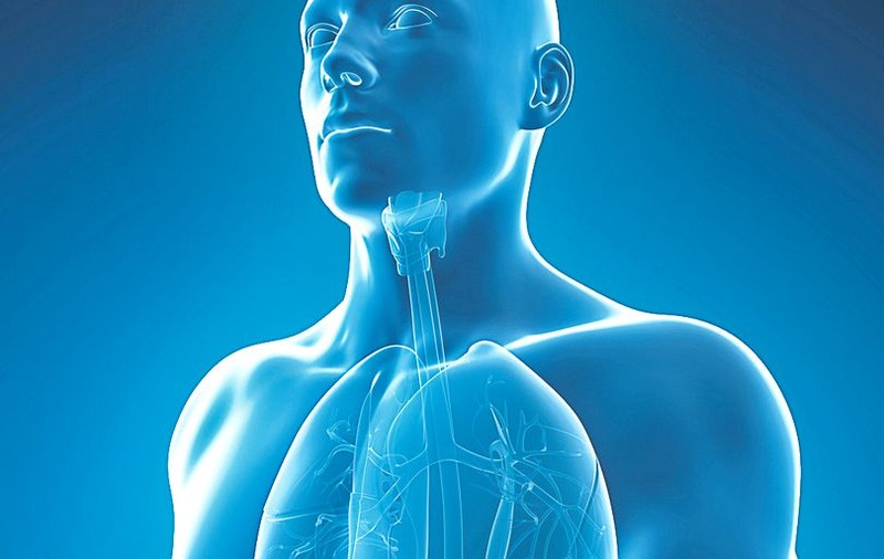 Metarrestin, medicamentul care ar putea opri răspândirea cancerului pancreatic