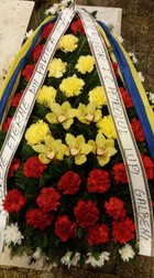 Arhiva foto