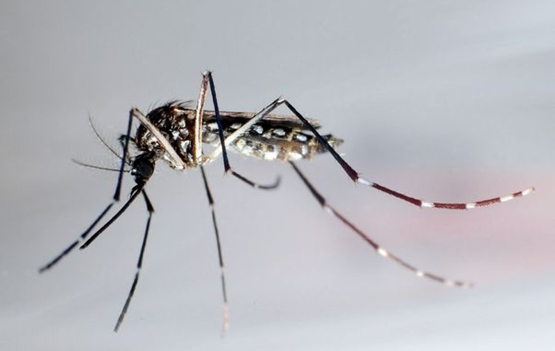 "Noua SIDA a Americii", boala care a infectat deja peste 8 milioane de oameni