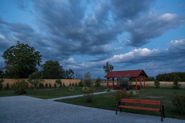 Arhiva foto