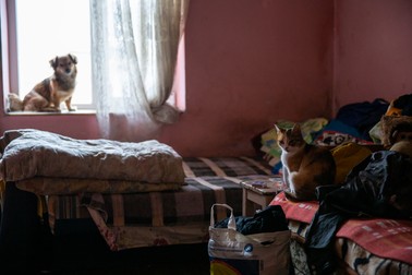 Camera pe care o bătrână o împarte cu fiica ei cu handicap, concubinul acesteia, un câine și o pisică