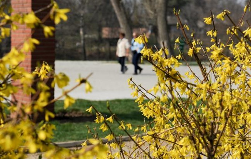 Meteo. Urmează zile de vară! Cum va fi vremea în weekend-ul dinainte de 1 Mai