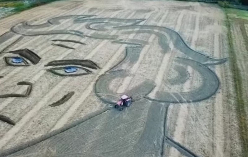 VIDEO | Portretul uriaș al lui Beethoven, realizat cu ajutorul unui tractor pe un câmp în nordul Italiei