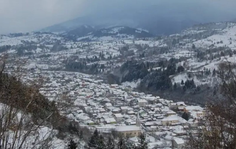 Un bărbat pe ATV și înarmat cu o armă de vânătoare amenință că împușcă câinii, în Maramureș