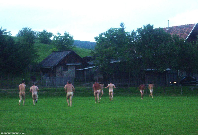 Arhiva foto