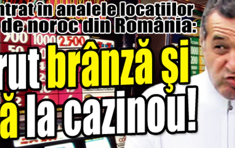 Gigi Becali a cerut brânză şi ceapă la cazinou!