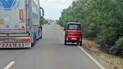 Buburuza de pe drumul national_591