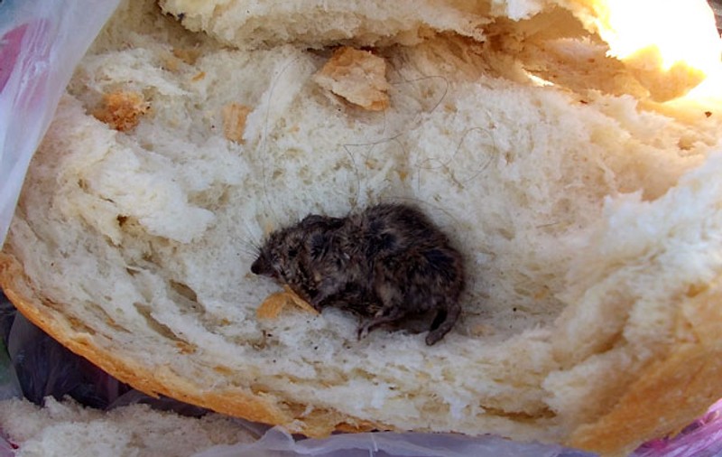 Susţine că a găsit un şoarece copt în pâine! FOTO