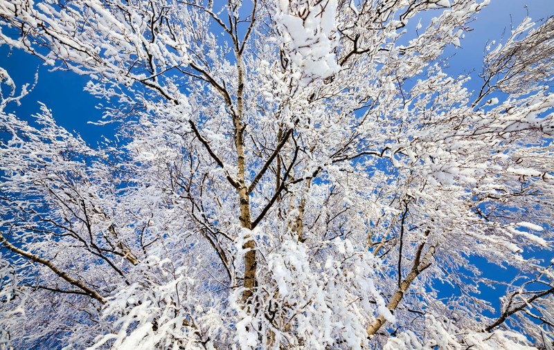 Cum va fi vremea în perioada 10-23 februarie 2025. Diferențe mari de temperatură în toată țara