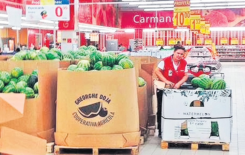 Cei mai buni pepeni româneşti cresc... peste graniţă!