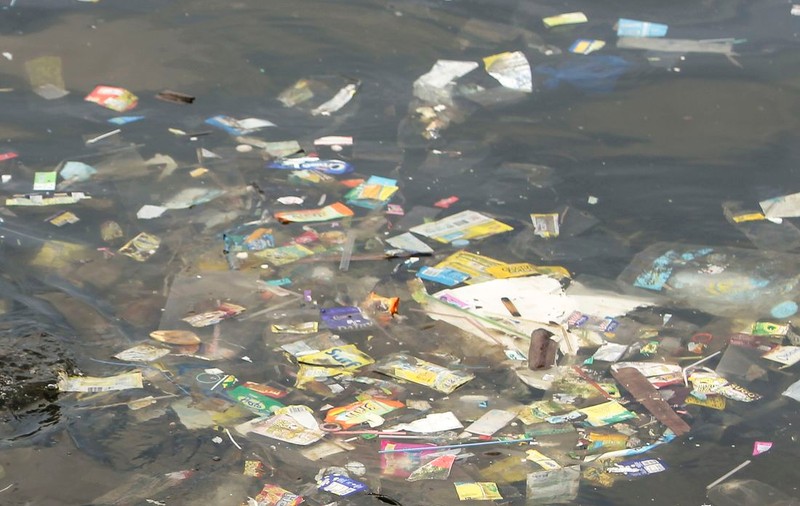 Pungile din plastic ar putea fi interzise în curând în California