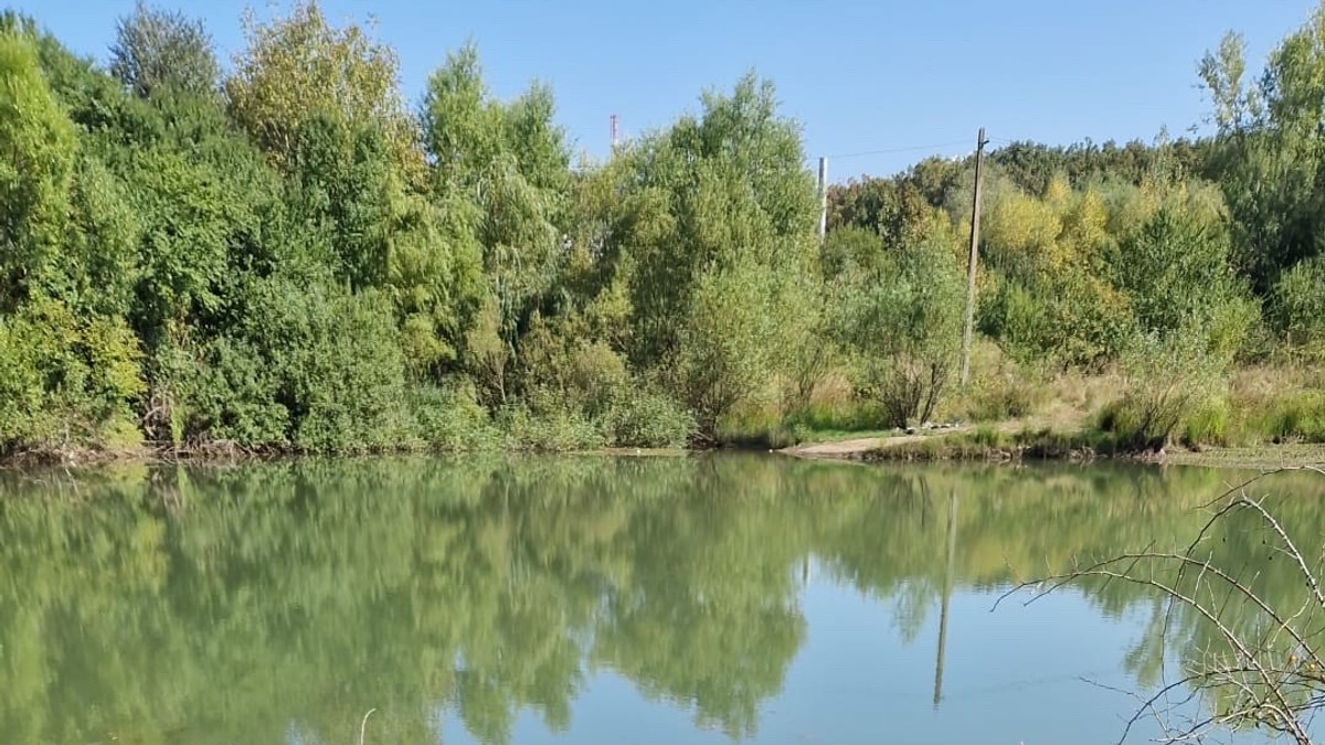 Arhiva foto