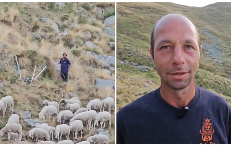 Cioban român filmat în munții Italiei, între oi și câini, și lăudat pentru că și-a găsit fericirea în lucruri pe care lumea modernă le-a uitat I VIDEO   