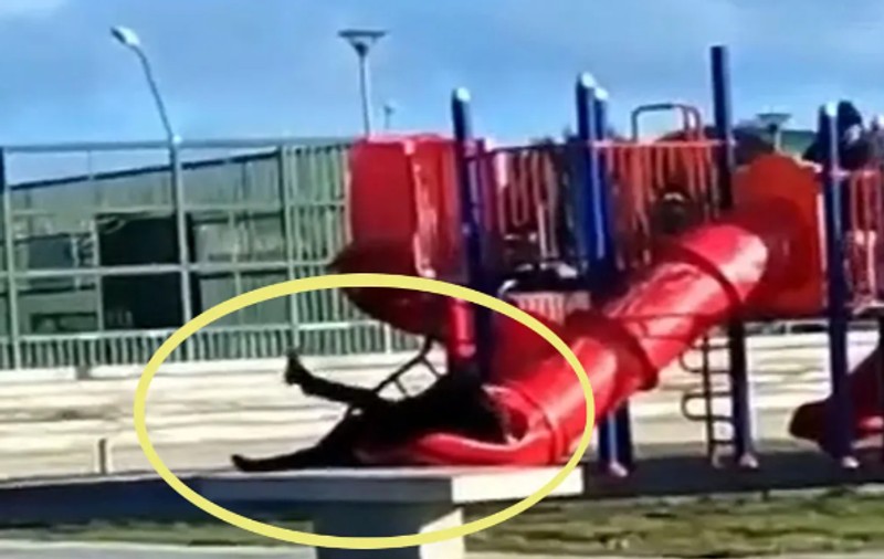 Imagini virale cu președintele chilian Gabriel Boric, blocat într-un tobogan pentru copii: „Iese? Nu iese! Nu-mi vine să cred”