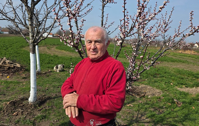 Român întors acasă după 25 de ani în Germania: „Și urzica e mai faină aici decât trandafirii dincolo”