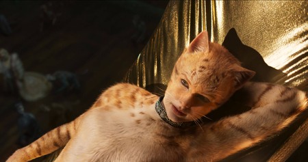 Taylor Swift e și ea pisică. Oarecum... / Foto: Universal Pictures