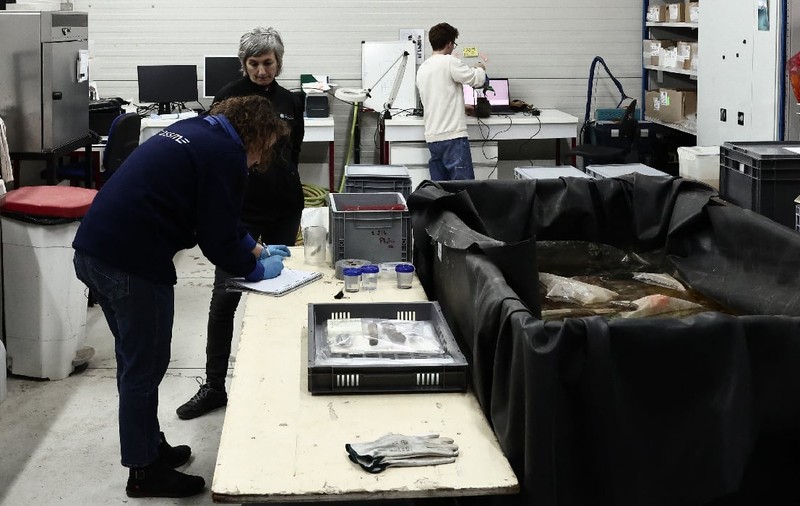 Comoara unei nave îngropate în apele franceze de 500 de ani, la 2.500 de metri adâncime, a fost găsită și readusă la suprafață