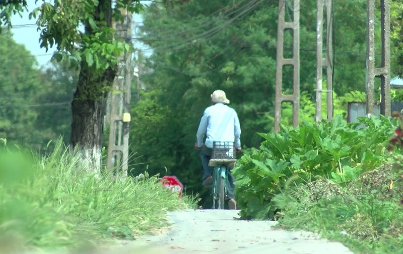 VIDEO/ Un proiect îngropat în bălăriile Bărăganului. „Autostrada bicicliștilor”, drumul betonat spre cârciuma din sat