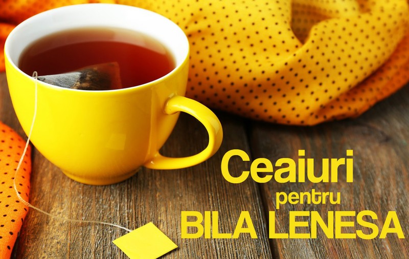 CUM SĂ-ŢI PROTEJEZI BILA DE SĂRBĂTORI