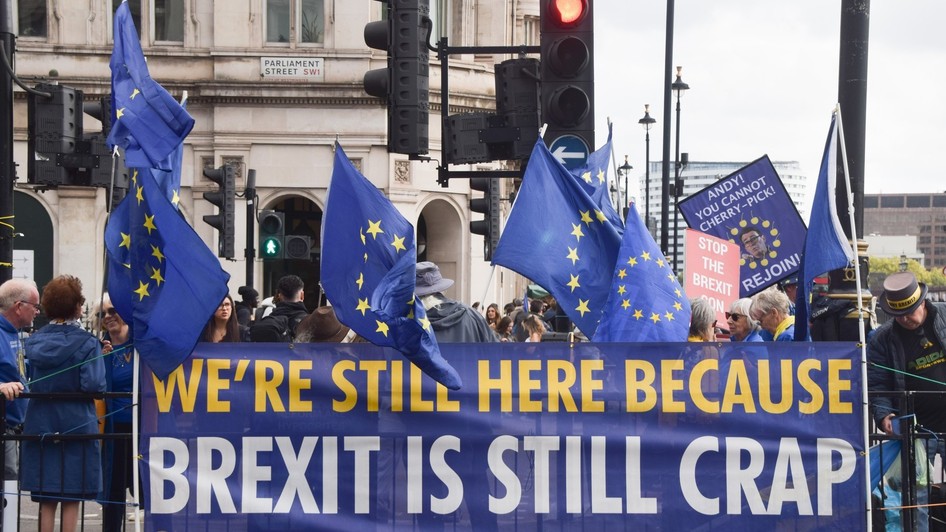 Londra, manifestanți pro-UE Sursa foto: Profimedia