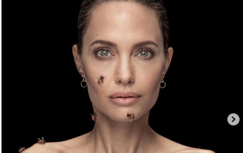 Angelina Jolie, experiment periculos. Actrița, închisă într-o cameră cu sute de albine