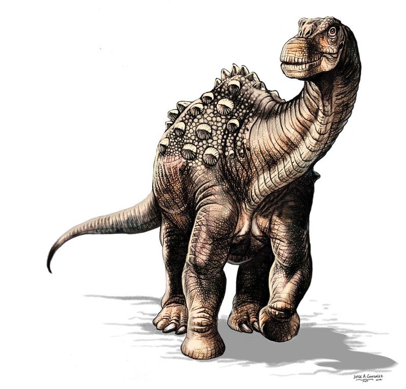 Ecudoar revendică o nouă specie de dinozaur, pe care a numit-o Yamanasaurus lojaensis