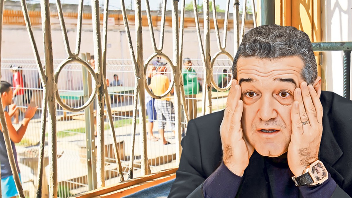 Arhiva foto