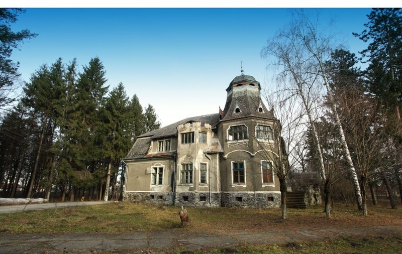 Un CASTEL din Retezat, SCOS LA LICITATIE. Statul n-a vrut să-l cumpere