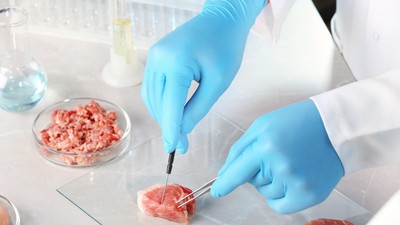 Scientist,Inspecting,Meat,Sample,On,Table,,Closeup.,Food,Quality,Control