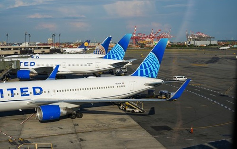 Un șarpe a provocat panică într-un avion din SUA. „Pasagerii au început să țipe și să-și ridice picioarele”