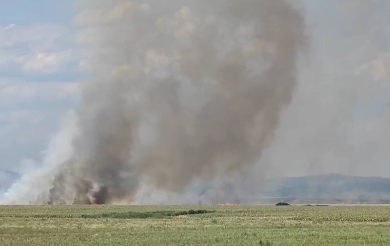 Arde miriștea lângă A7. Două echipaje de pompieri au fost trimise la Albești Paleologu