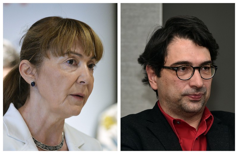 Monica Macovei și Sever Voinescu