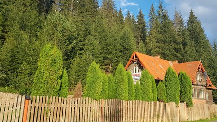 Arhiva foto