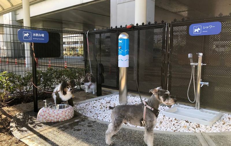 Aeroportul din Osaka a inaugurat prima toaletă pentru câini. În mijlocul ei, e un stâlp