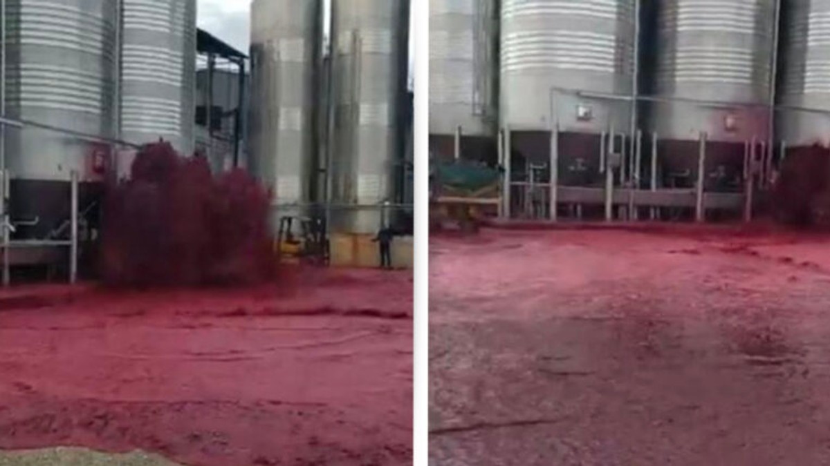 VIDEO | Momentul în care un rezervor cu 50.000 de litri de vin a explodat într-o cramă din Spania