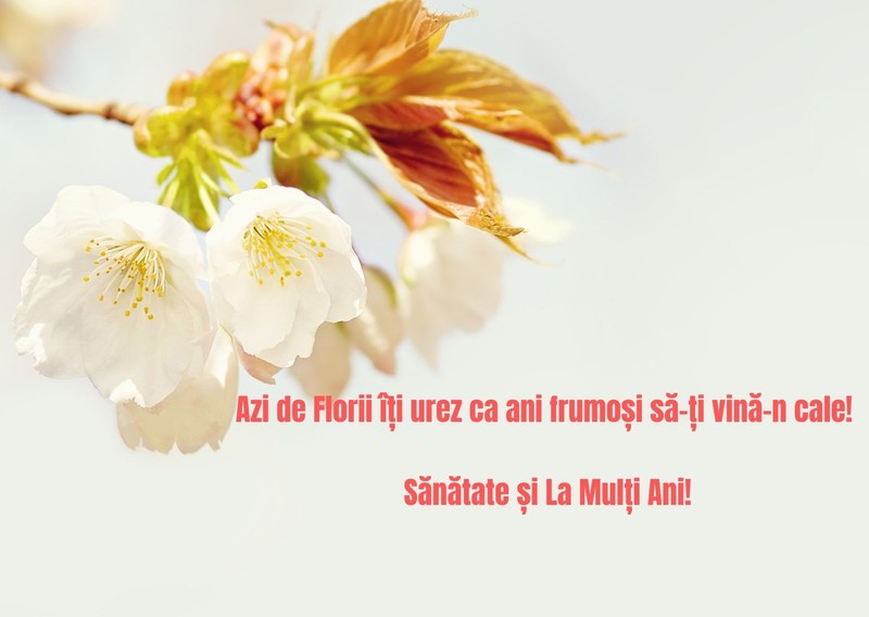 Mesaje de Florii 2021
