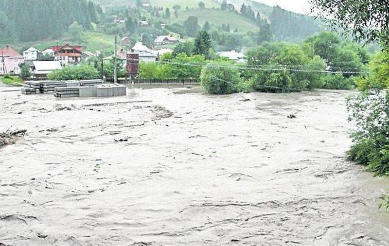 COD GALBEN pe RÂURI din MARAMUREŞ şi SATU MARE!