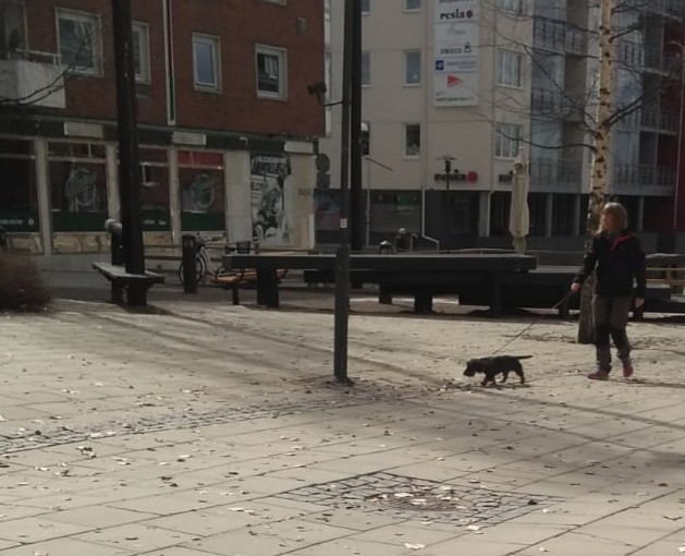 O persoană își plimbă câinele pe aleea centrală a orășelului. Femeia nu poartă mască