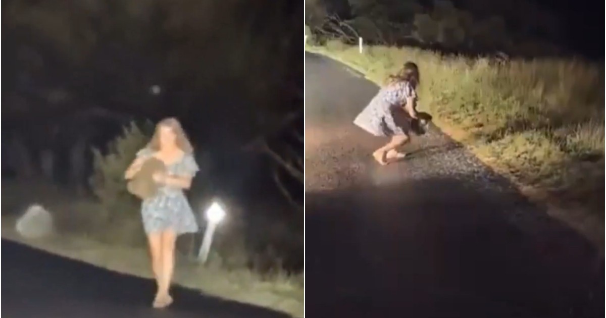 colaj foto cu o femeie care prinde un pui de wombat sălbatic