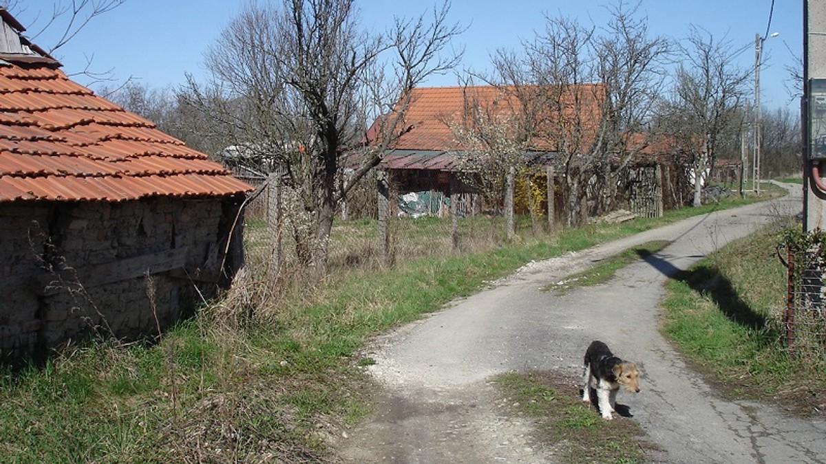 Arhiva foto