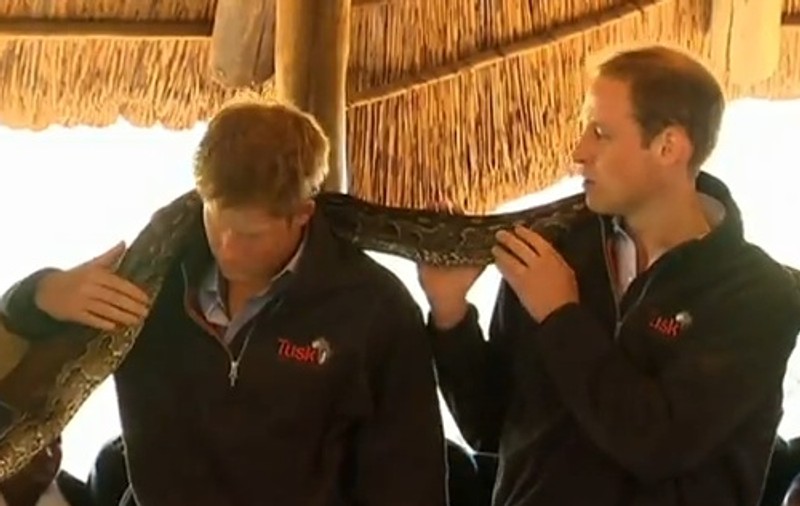 Video | Prinţul William şi prinţul Harry se distrează cu un piton de 3 metri