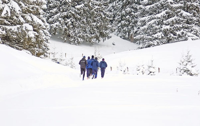 Din cauza temperaturii steliştii au schimbat meniul: Mănâncă usturoi, ceapă şi fasole