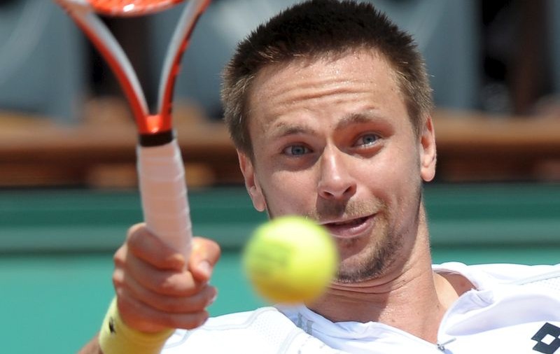 Soderling s-a calificat în finala Roland Garros
