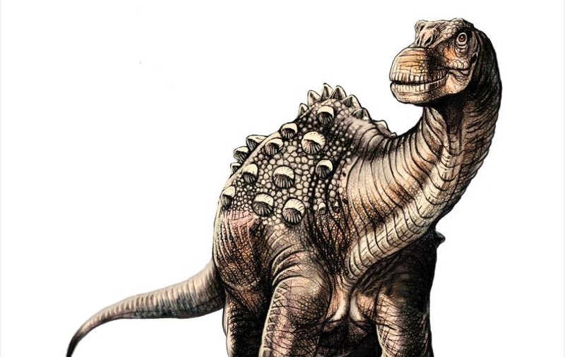 A fost descoperită o nouă specie de dinozaur